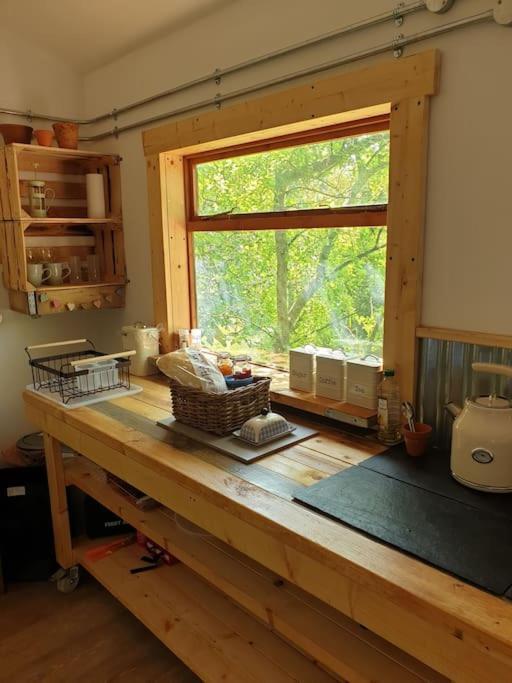 The Potting Shed Near Tenby, 100" Projector, Four Poster Bed, On-Site Hot Tub Access Via Spa Pack, Breakfast Exterior foto